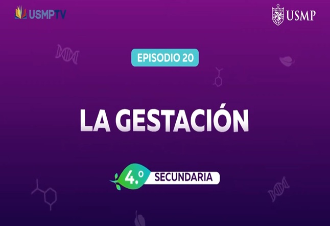 Capítulo N° 20 - La Gestación